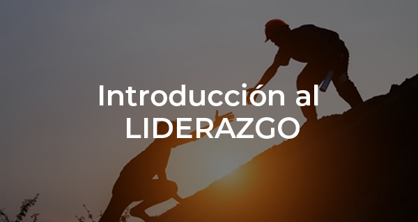 Introducción al liderazgo