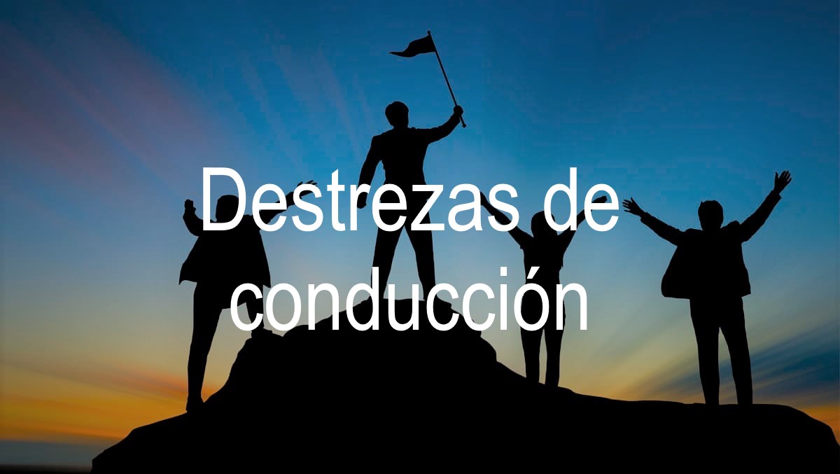 Destrezas de conducción