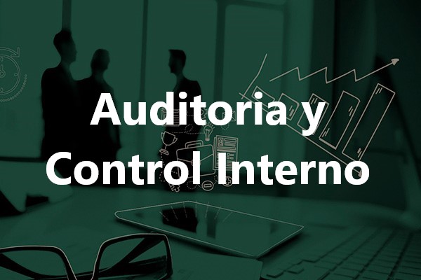 Auditoria y Control Interno